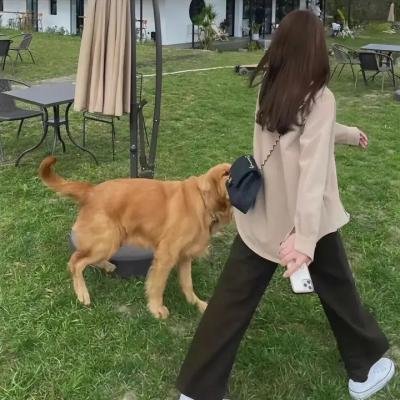 不死之人