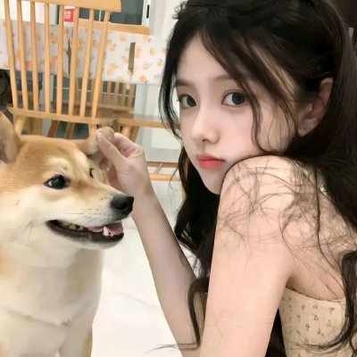 新灰姑娘
